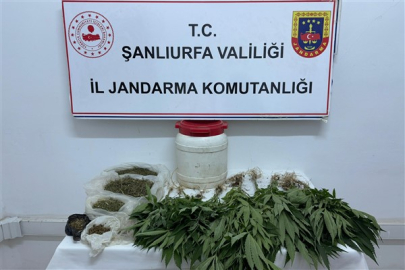 Suruç'ta uyuşturucu operasyonu
