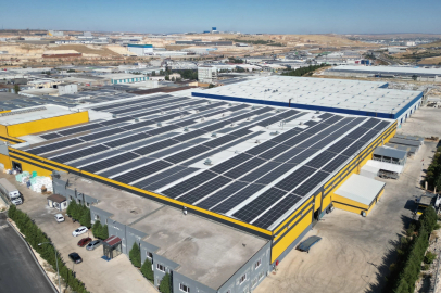 Artemis Halı'dan 61.924 Ağaçlık Ekolojik Katkı