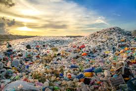 Japon keşfi, denizdeki plastik sorununa çözüm olabilir