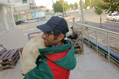 Hayvansever Aydoğmuş'tan sokak hayvanları için destek çağrısı