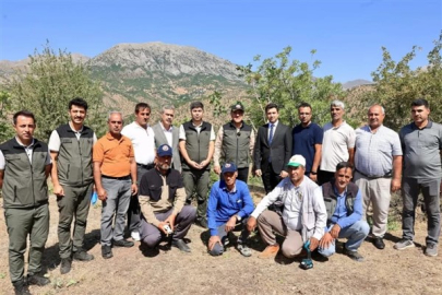 Bingöl'de Menengiç ağaçları ekonomiye kazandırılıyor