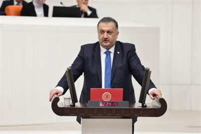 DEVA Partili Karal: Komşularımızda bir taş yerinden oynasa, faturasını milletimiz ödüyor