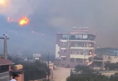 Hatay'daki orman yangınına soruşturma başlatıldı