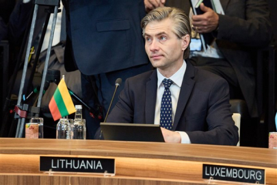 Budrys: Doğu sınır ülkelerinin hava sahasının korunması öncelikli hale gelmeli