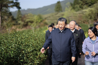Xi Jinping’in ekolojik medeniyet konulu yazıları kitaplaştı