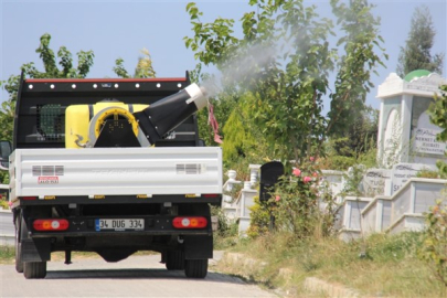 İBB, Esenyurt'ta vektörle mücadele çalışmalarını artırdı