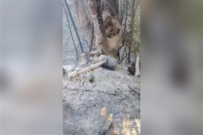 Sakarya Valiliği, Güldibi Mahallesi'nde çıkan yangının kontrol altına alındığını bildirdi