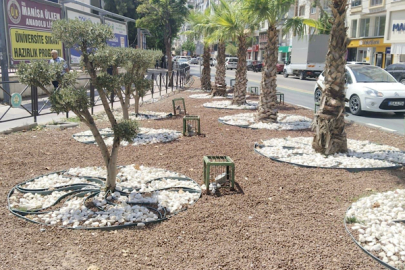 Manisa Büyükşehir Belediyesi'nden kurakçıl peyzaj uygulaması