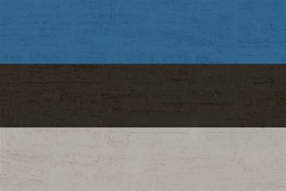 Estonya Dışişleri Bakanlığı'ndan İsrail'in Gazze'de askeri harekat kararına tepki