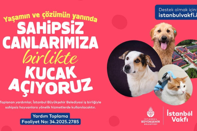 İstanbul Vakfı’ndan Sahipsiz Can Dostlarımıza Destek Çağrısı