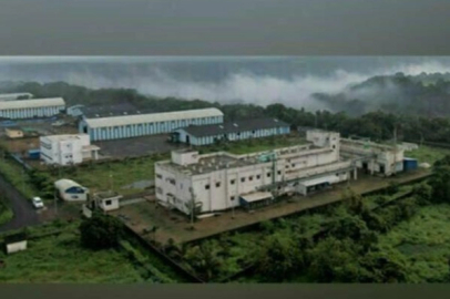 Liposomal Nanoteknolojiyle D Vitamini Takviyelerinde Yeni Bir Dönem Başlıyor