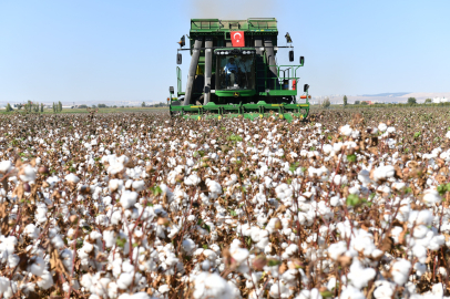 Şanlıurfa'da pamuk verimliliğinin artması için Genel Emir yayınlandı