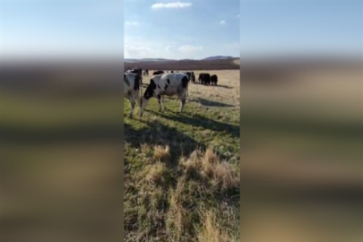 Türkiye’den yıllık 24 milyar dolar Afganistan’a gidiyor