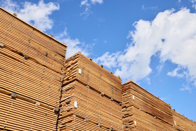 2025’in ilk yarısında Amerikan sert ağaç ihracatında ODKA bölgesinde  büyüme