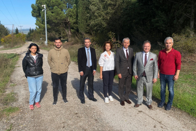 Bursa Tarımına Akademik Bakış