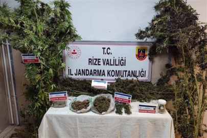Rize’de uyuşturucu operasyonu