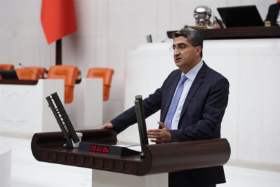 Ekmen: Zeytinyağı üretiminde yüzde 35 oranında düşüş yaşandı