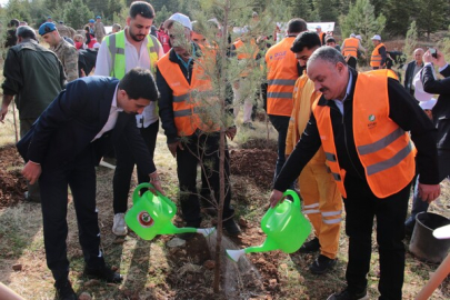 DEPSAŞ Enerji’den Makam Dağı’na 3 bin fidanlık yeşil dokunuş