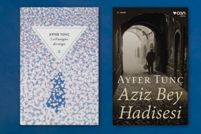 Ayfer Tunç'a 2025 Fransa-Türkiye Edebiyat Ödülü