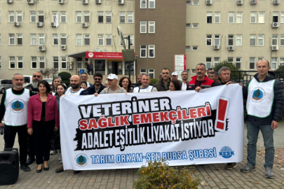 Efe: Veteriner sağlık emekçileri zorluklarla dolu bir süreçte mücadele ediyor