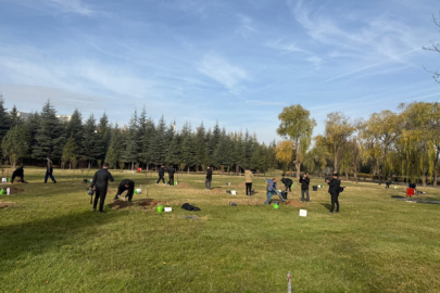 Basın Mensupları ve TSK personeli 63 fidanı toprakla buluşturdu