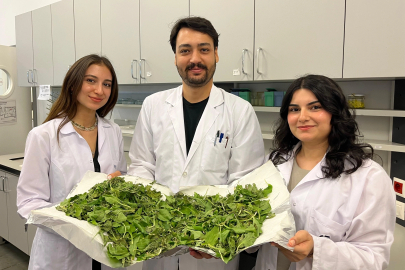 BİLGİ’li Öğrenciler, Antibiyotik Direncine Karşı Yenilikçi ve Doğal Bir Yöntem Geliştirdi