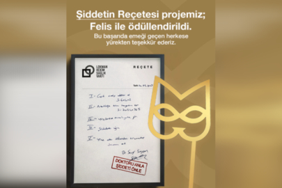 "Doktoru Anla, Şiddeti Önle" kampanyasına Felis Ödülü