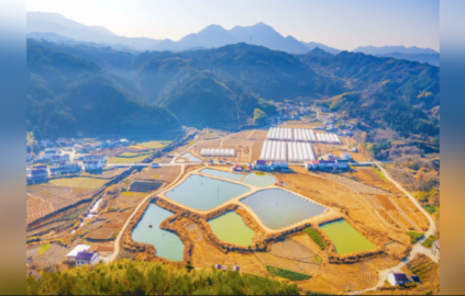 CMG, 2025 yılının kırsal kalkınmaya ilişkin en önemli 10 haberini seçti