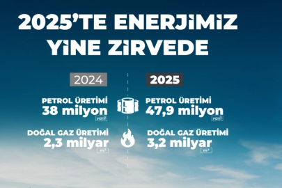 Enerjide Yerli Üretim Hamlesi