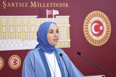 DEVA Partili Esen: Bireysel silahlanma güvenlik değil, toplumsal barış sorunudur