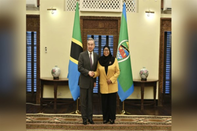 Tanzanya Cumhurbaşkanı Hassan Dışişleri Bakanı Wang’ı kabul etti