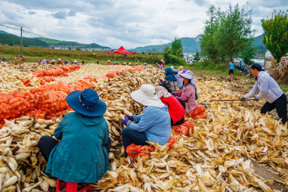 Çin’de köylülerin kişi başı geliri yüzde 6 arttı