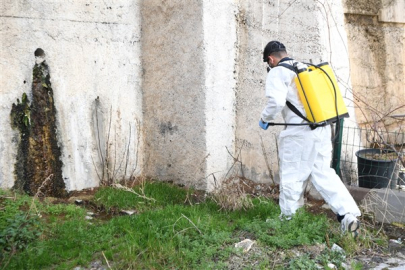 Mamak’ta haşere ve larva mücadelesi sürüyor