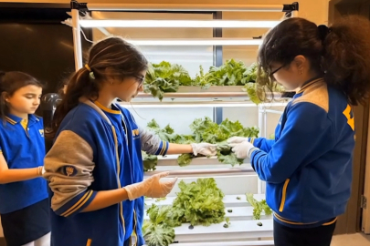 Öğrenciler Maruldan Şampuan Ürettiler