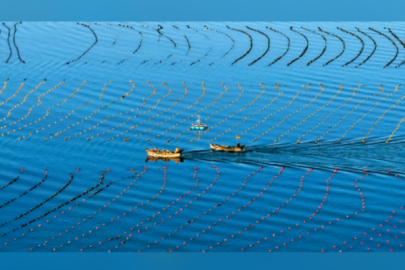 15. Beş Yıllık Plan’da deniz ekonomisini geliştirme vurgusu