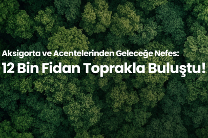 12 Bin Fidan Toprakla Buluştu 