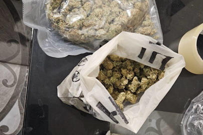 Bulgaristan’da Montana ve Lom bölgelerinde operasyon düzenlendi