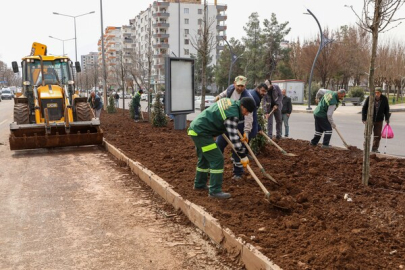Diyarbakır’da Selahattin Eyyubi Bulvarı peyzajla yenileniyor