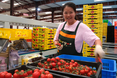 Çin'de özel gıda üretim bölgelerinin sayısı 450'yi aştı