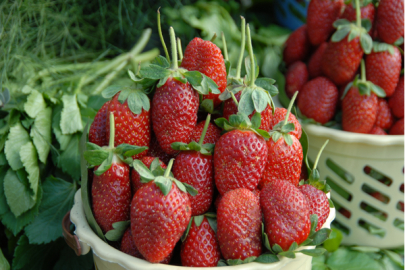 Yaş meyve ve sebze ihracat verileri açıklandı