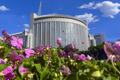 Abu Dabi Veliaht Prensi Al Nahyan Çin’i ziyaret edecek