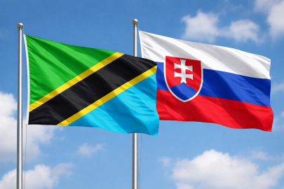Tanzanya Başbakanı Nchemba, Slovakya Büyükelçisi Lancaric ile görüştü