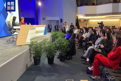 IMF Direktörü: Çin ekonomisi dayanıklı ve büyük potansiyele sahip