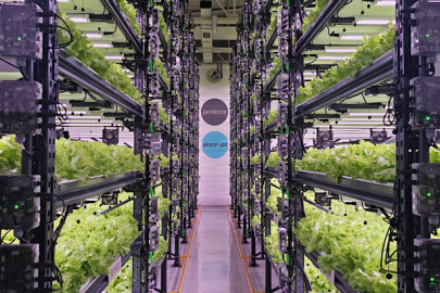 Farmicca’dan tarımda verimlilik ve teknoloji vurgusu