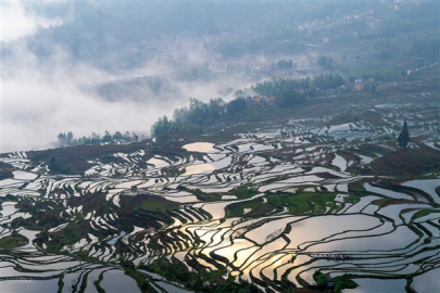 Hani tarımsal teraslar alanı, en güzel bahar ekim mevsimine girdi
