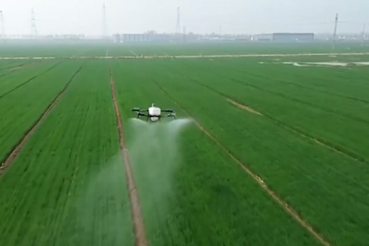 Çin’in tarım ve kırsal ekonomisi yılın ilk çeyreğine güçlü başladı