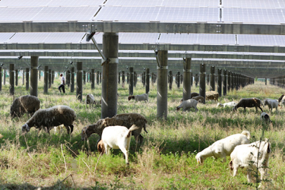 Alman ve İngiliz medyası: Çin, enerji krizinin en büyük kazananı oldu