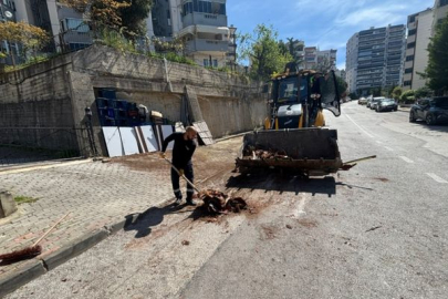 Gemlik Belediyesi’nden bahar temizliği çalışması