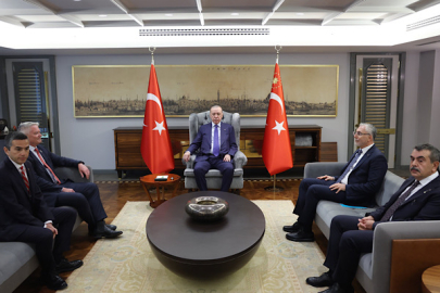 Cumhurbaşkanı Erdoğan, OECD Genel Sekreteri Cormann ile bir araya geldi