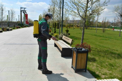 Ankara’da haşerelere karşı kapsamlı ilaçlama seferberliği başlatıldı